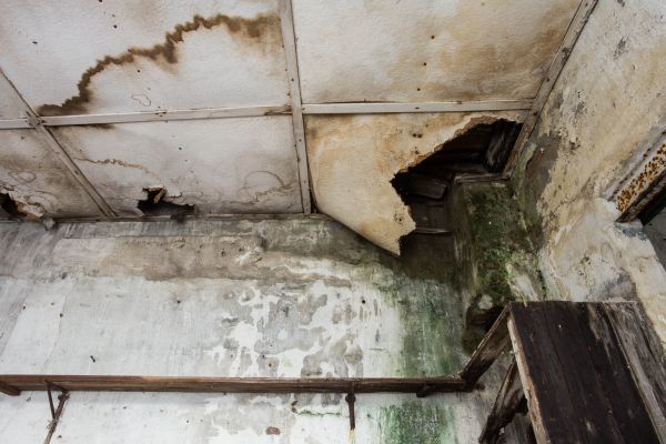 Cost of Water Damage Service in Lake Zurich