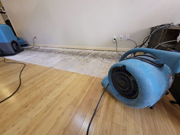 Cost of Water Damage Mitigation in Lake Zurich