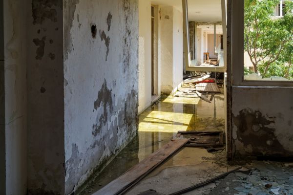 Cost of Water Removal Service in Lake Zurich