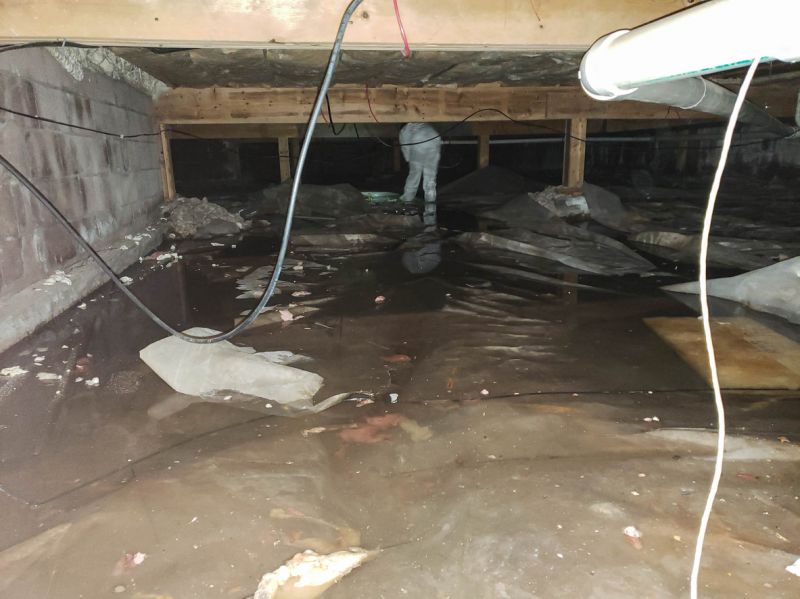 Water Damage Restoration Experts